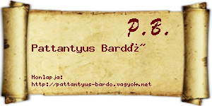 Pattantyus Bardó névjegykártya